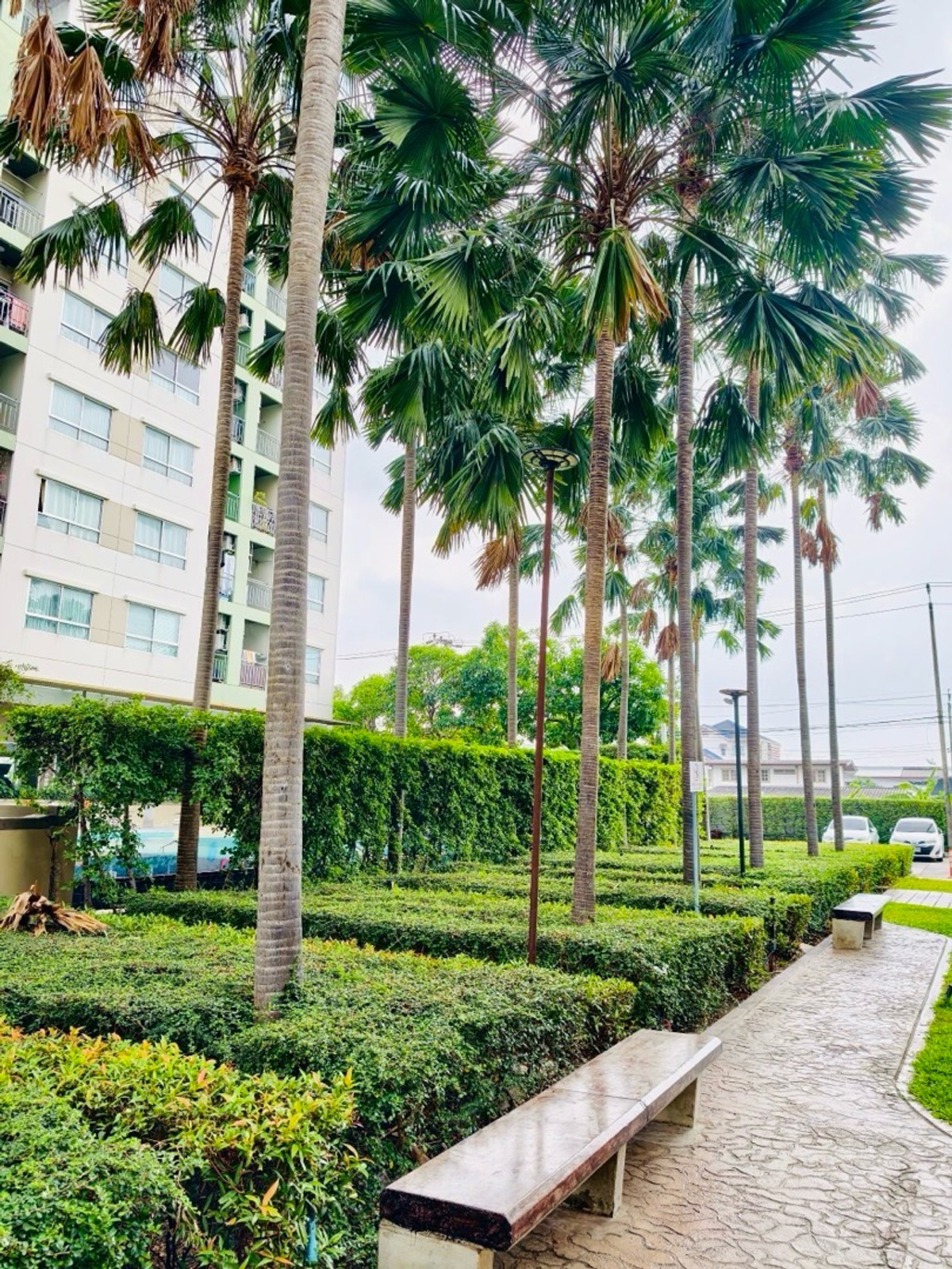 ขายคอนโดนวมินทร์ รามอินทรา : ขาย/เช่าด่วน! คอนโดลุมพินี พาร์ค นวมินทร์-ศรีบูรพา 
ซ.นวมินทร์36-38 คลองกุ่ม, บึงกุ่ม T. 081-834-1501 (ตี๋)