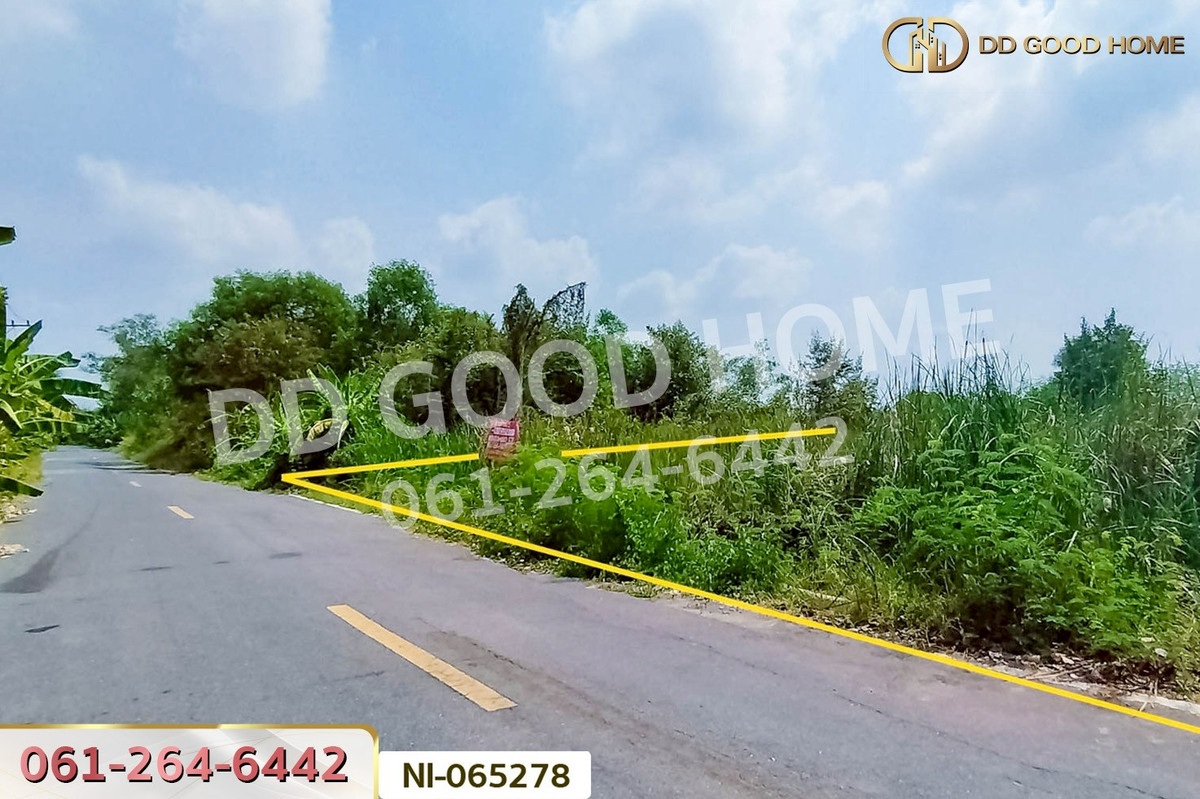 ขายที่ดินปทุมธานี รังสิต ธรรมศาสตร์ : NI-065278 ที่ดินคลองหก 200 ตร.ว. ปทุมธานี ใกล้มหาวิทยาลัยเทคโนโลยีราชมงคลธัญบุรี