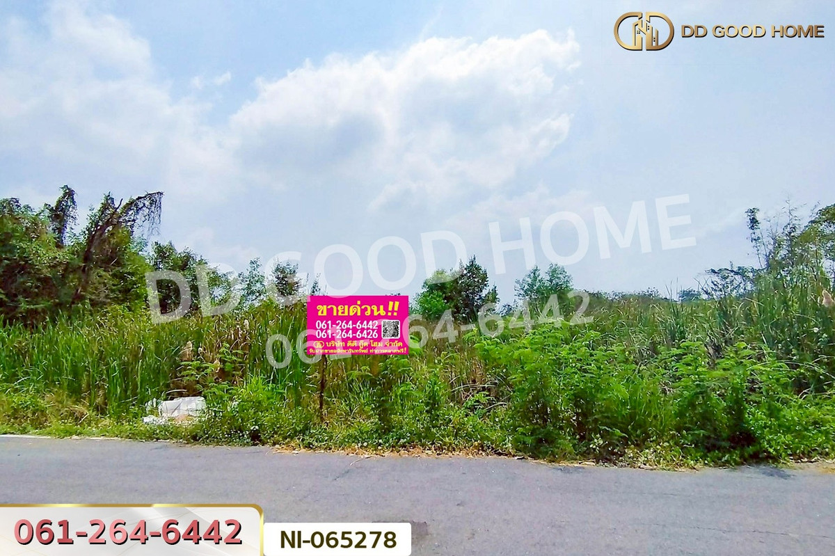 ขายที่ดินปทุมธานี รังสิต ธรรมศาสตร์ : NI-065278 ที่ดินคลองหก 200 ตร.ว. ปทุมธานี ใกล้มหาวิทยาลัยเทคโนโลยีราชมงคลธัญบุรี