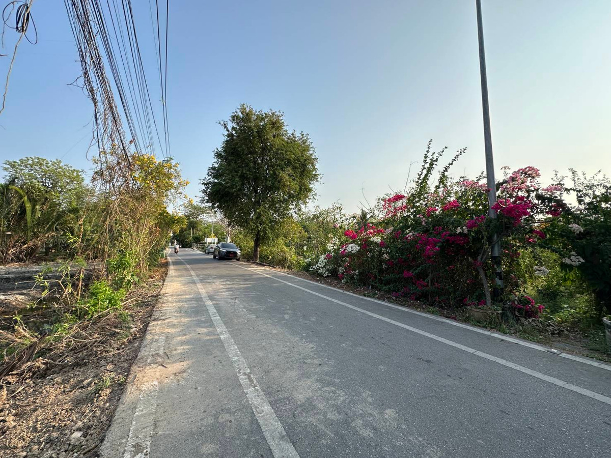 For SaleLandRathburana, Suksawat : Rare riverside land for sale Phra Pradaeng Samut Prakan