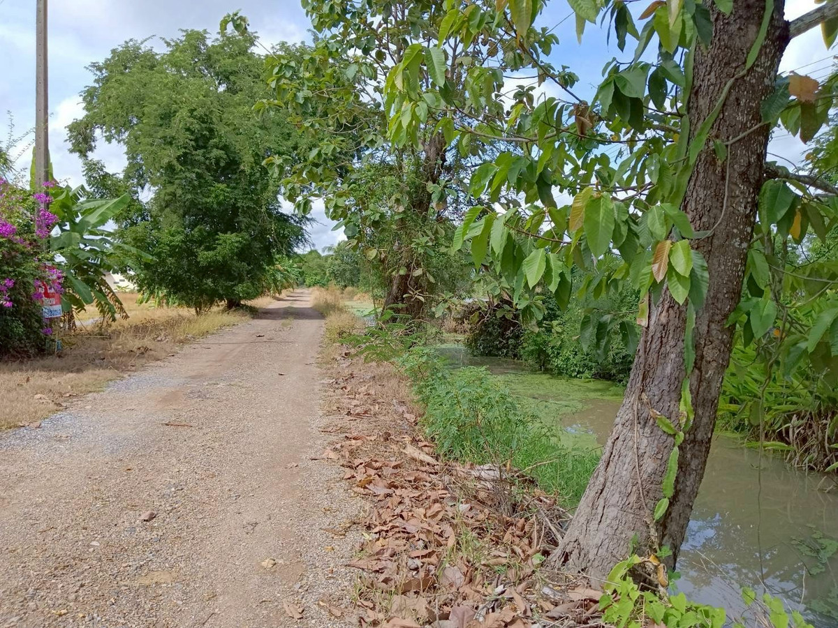 ขายที่ดินปทุมธานี รังสิต ธรรมศาสตร์ : ขายด่วน! ที่ดินบ้านสวน 1 ไร่ รังสิตคลอง 9 มีคลองขุด ผลไม้พร้อมเก็บ 1.6 ลบ.