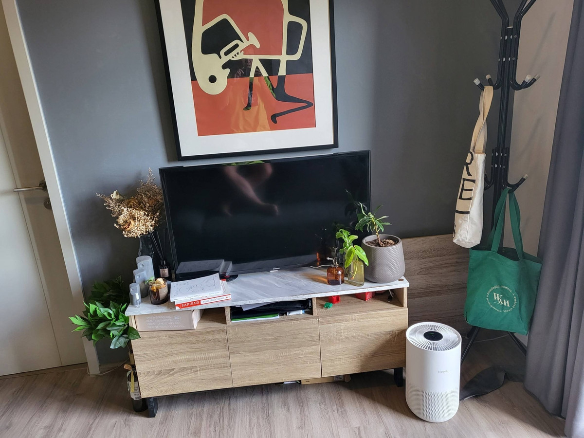 For RentCondoOnnut, Udomsuk : For Rent: The Base Sukhumvit 50, 16,000 THB [JZsr260304]