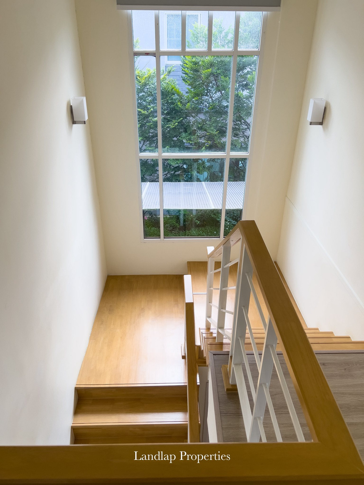 ให้เช่าบ้านพัทยา บางแสน ชลบุรี สัตหีบ : ให้เช่า บ้านเดี่ยวหลังมุม พฤกษานารา ชัยพฤกษ์ - จอมเทียน 