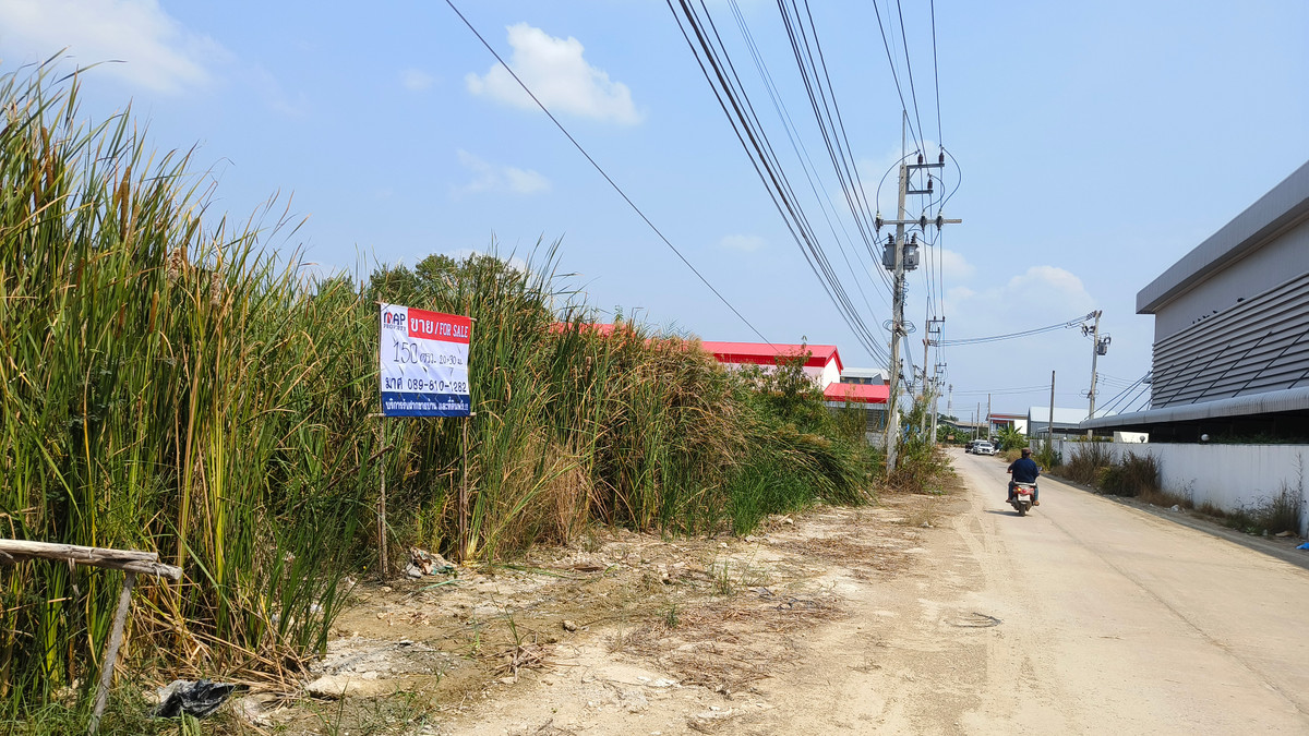 ขายที่ดินปทุมธานี รังสิต ธรรมศาสตร์ : ขายด่วน ที่ดินแปลงเล็ก แนวถนน 340