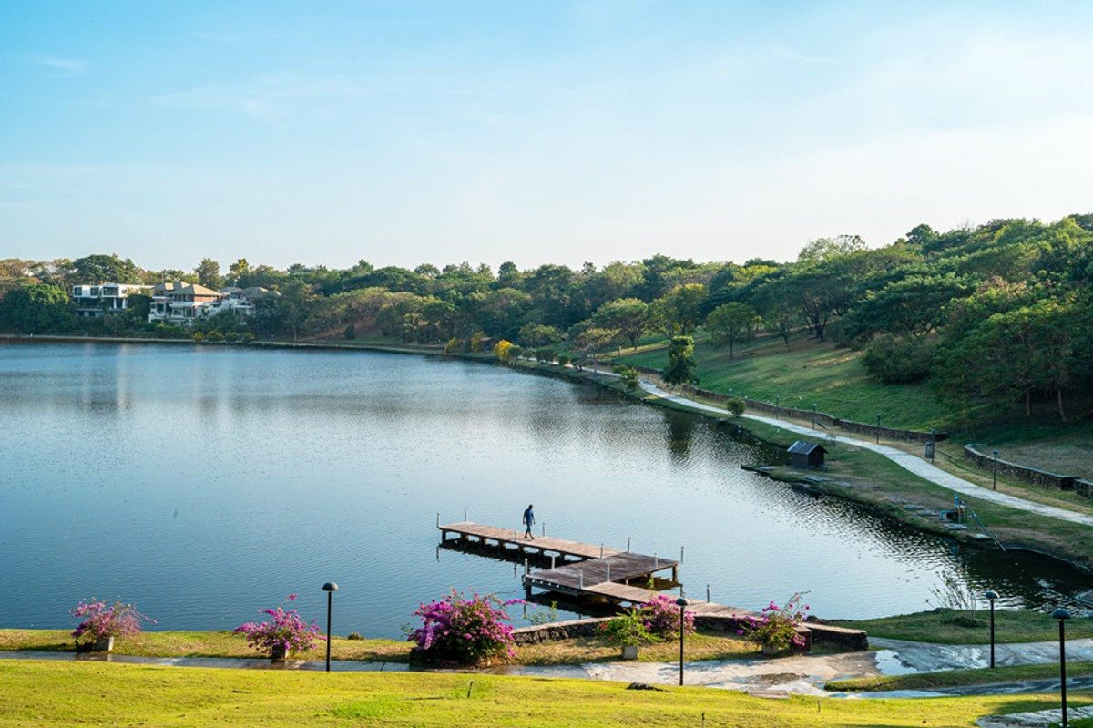 ให้เช่าบ้านสมุทรปราการ สำโรง : บ้านเดี่ยวสไตล์รีสอร์ท 3 ห้องนอน วิวทะเลสาบ ใกล้สุวรรณภูมิ สวยเรียบหรู ให้ความเป็นส่วนตัวสูง