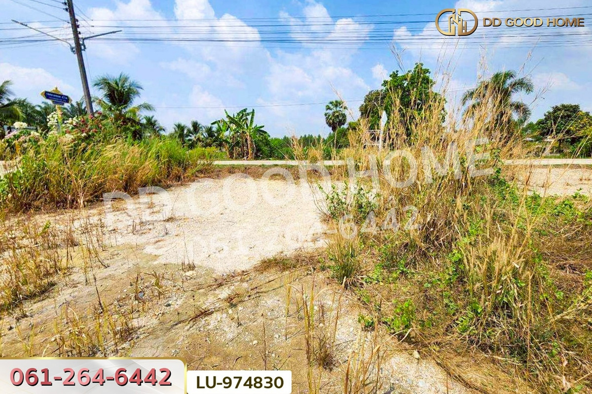 For SaleLandPattaya, Bangsaen, Chonburi : LU-974830 Land for sale in Ban Khong Pradu, Thetsaban 5, Ko Chan District, Chonburi. 80 sq.w. Near Ko Chan District Office.