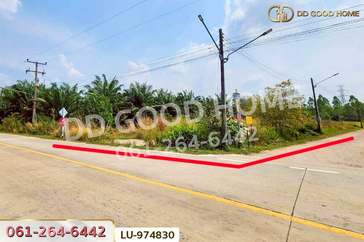 For SaleLandPattaya, Bangsaen, Chonburi : LU-974830 Land for sale in Ban Khong Pradu, Thetsaban 5, Ko Chan District, Chonburi. 80 sq.w. Near Ko Chan District Office.