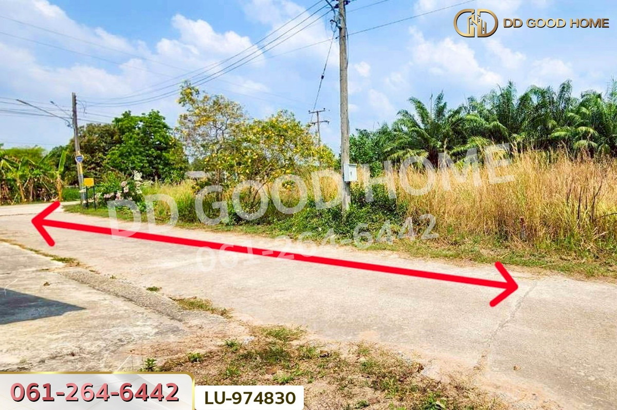 For SaleLandPattaya, Bangsaen, Chonburi : LU-974830 Land for sale in Ban Khong Pradu, Thetsaban 5, Ko Chan District, Chonburi. 80 sq.w. Near Ko Chan District Office.