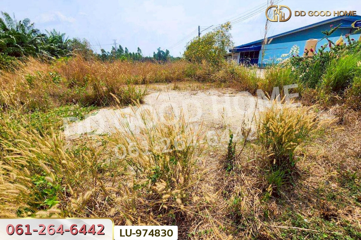 For SaleLandPattaya, Bangsaen, Chonburi : LU-974830 Land for sale in Ban Khong Pradu, Thetsaban 5, Ko Chan District, Chonburi. 80 sq.w. Near Ko Chan District Office.