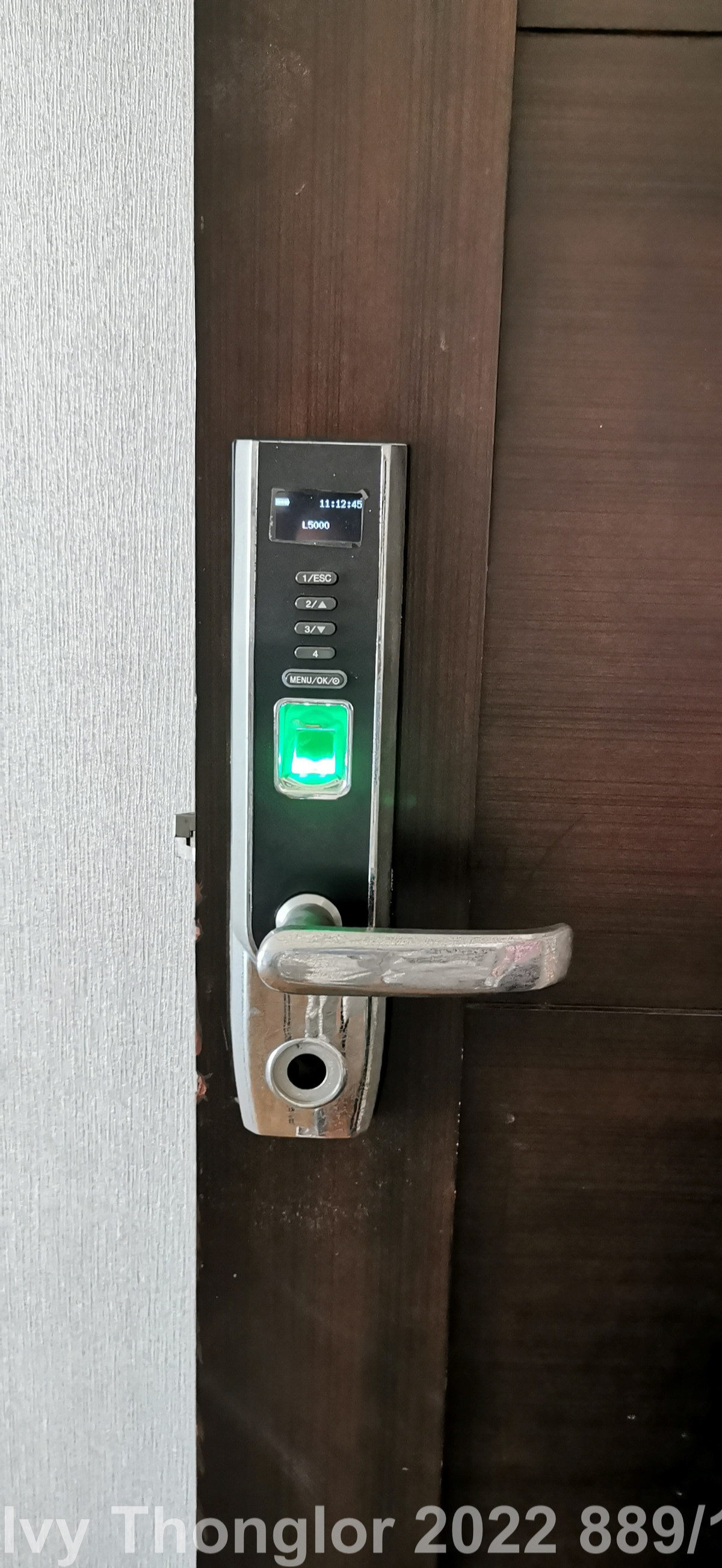 ให้เช่าคอนโดสุขุมวิท อโศก ทองหล่อ : เช่า 4 ห้องนอน 4 ห้องน้ำ ไอวี่ ทองหล่อ