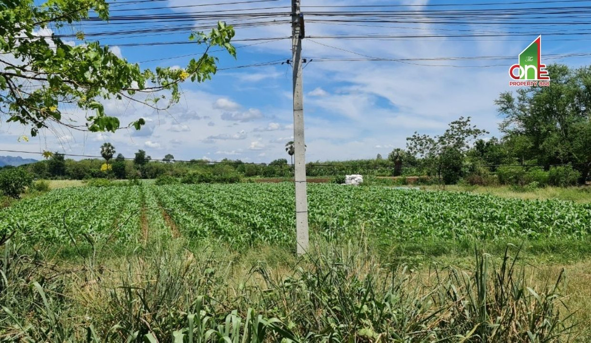 ขายที่ดินกาญจนบุรี : ที่ดิน ถนนทางหลวง 3228 บ้านเก่า – ลิ้นช้าง ตำบล หนองหญ้า อำเภอเมืองกาญจนบุรี