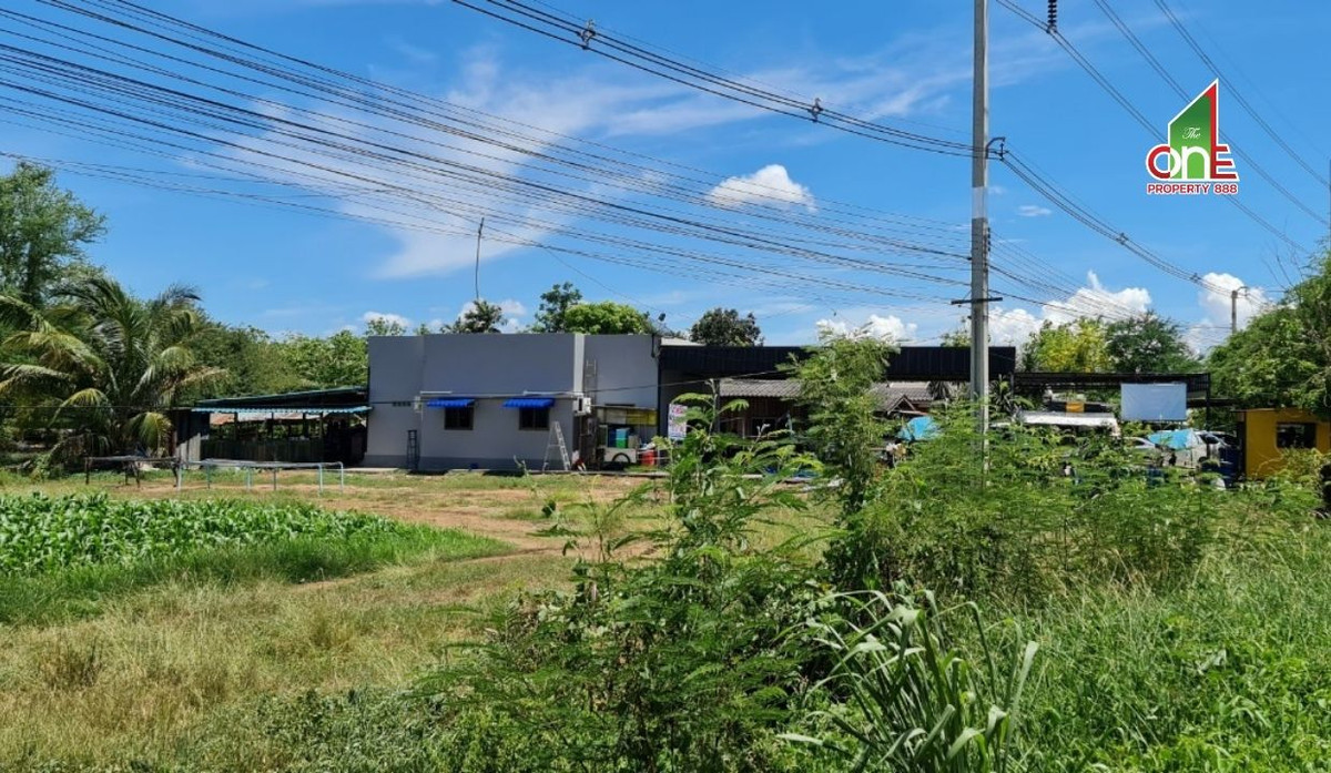 ขายที่ดินกาญจนบุรี : ที่ดิน ถนนทางหลวง 3228 บ้านเก่า – ลิ้นช้าง ตำบล หนองหญ้า อำเภอเมืองกาญจนบุรี