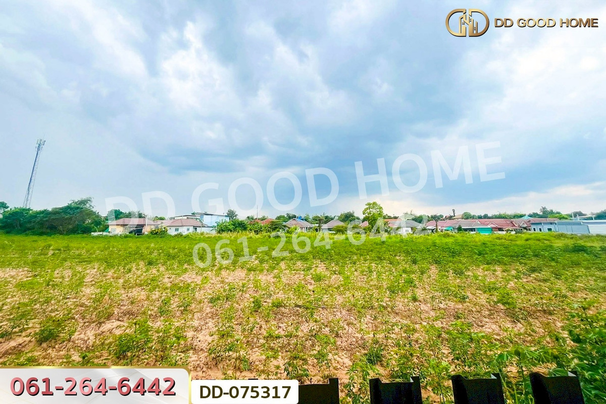 ขายบ้านโคราช นครราชสีมา : DD-075317 บ้านเดี่ยว หนองตาคง นครราชสีมา ใกล้เขตอุตสาหกรรมสุรนารี