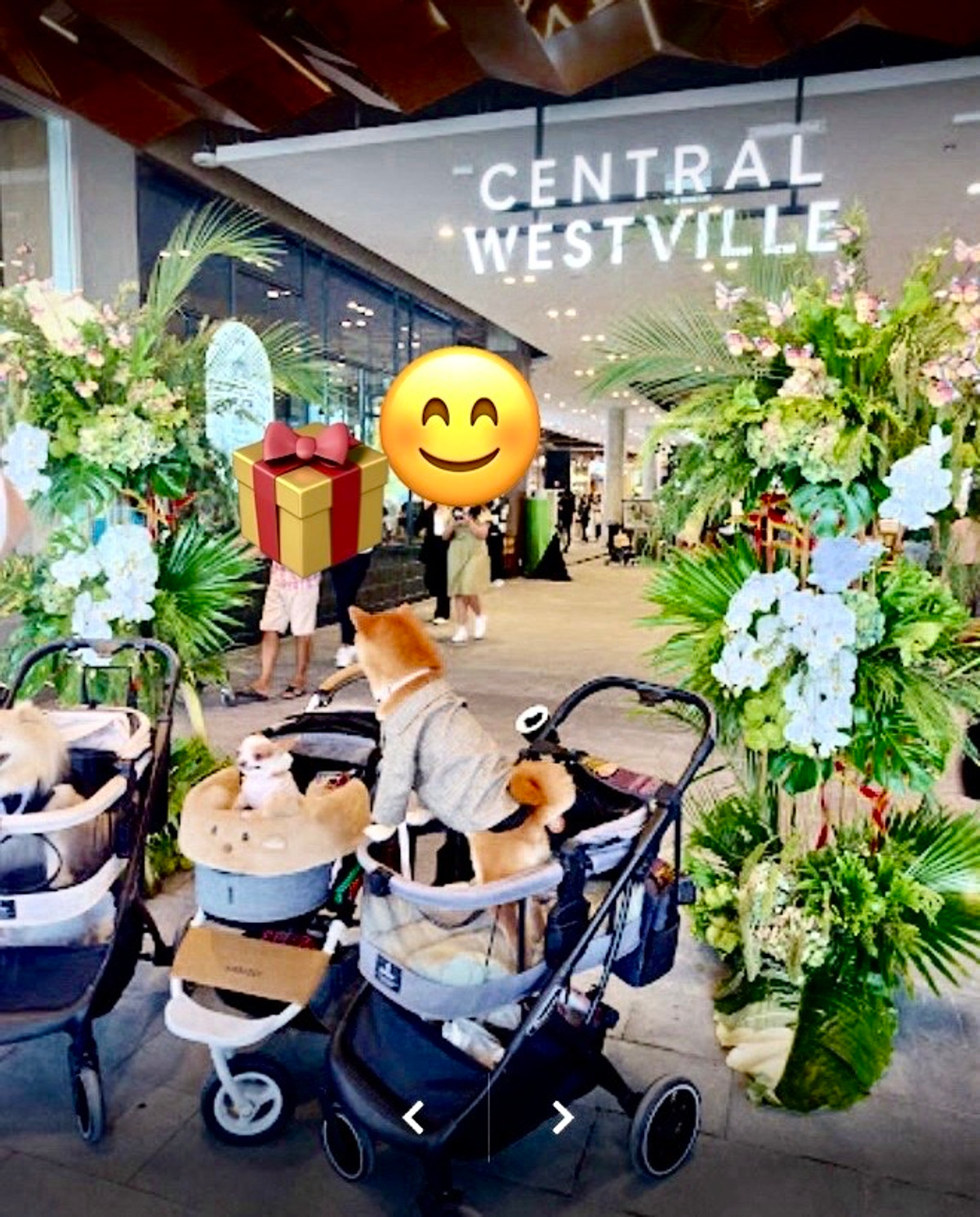 For SaleHome OfficeRama5, Ratchapruek, Bangkruai : Commercial building ready to move in ***opposite Central Westville Department Store, call 093 296 2878