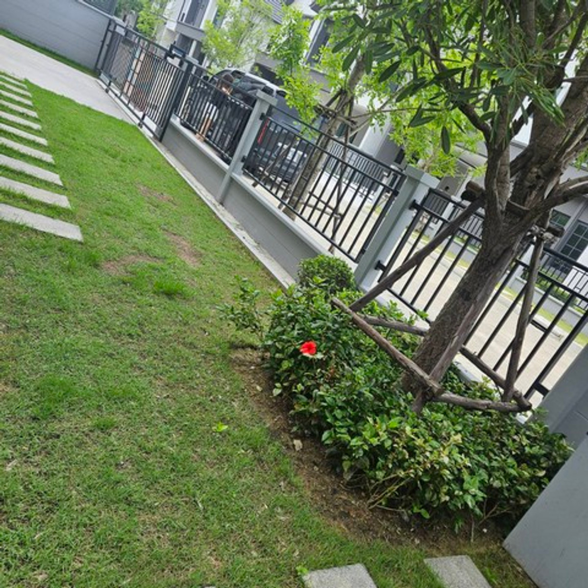 ให้เช่าบ้านบางนา แบริ่ง ลาซาล : HR3294หิ้วกระเป๋าเข้าอยู่ได้เลย! Centro Bangna บ้านเดี่ยว 300 ตร.ม. ฟรี WIFI + ดูแลสวน + กำจัดปลวกตลอดสัญญา