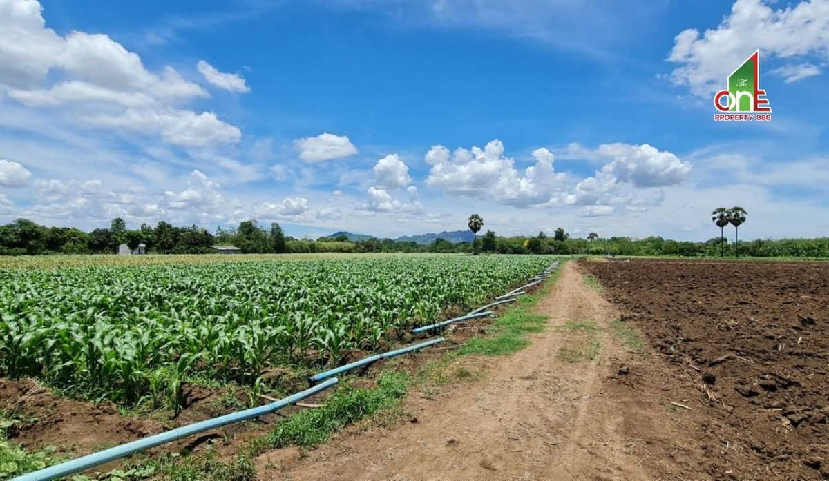 ขายที่ดินกาญจนบุรี : ที่ดิน ถนนทางหลวง 3228 บ้านเก่า – ลิ้นช้าง ตำบล หนองหญ้า อำเภอเมืองกาญจนบุรี