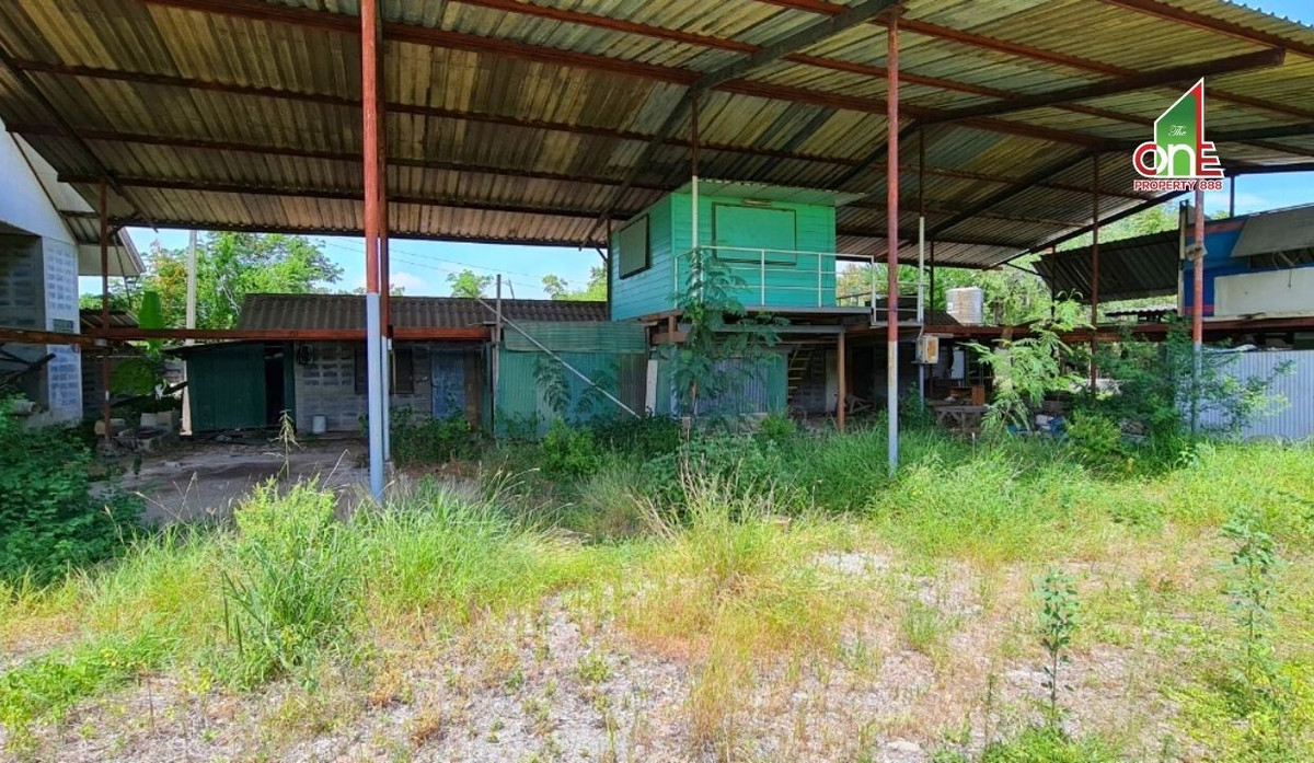 ขายที่ดินนนทบุรี บางใหญ่ บางบัวทอง : ที่ดิน ซ.ฤชุพันธุ์ ถ.บางบัวทอง – สุพรรณบุรี ต.ไทรใหญ่ อ.ไทรน้อย จ.นนทบุรี