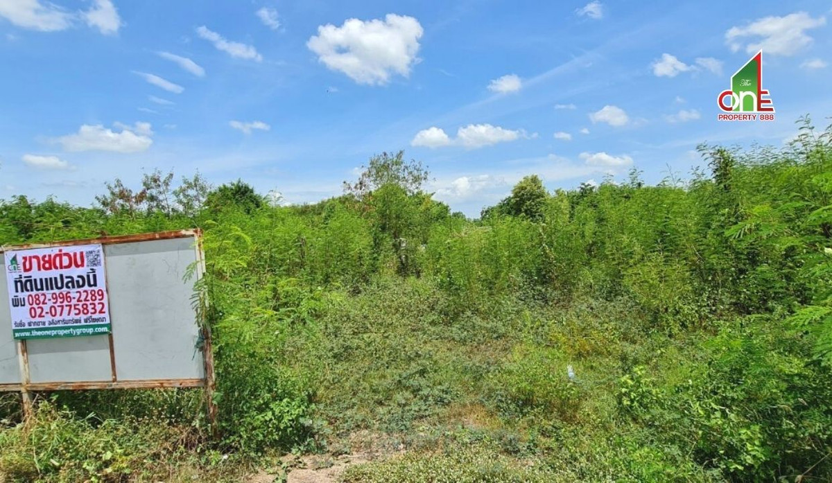 ขายที่ดินนนทบุรี บางใหญ่ บางบัวทอง : ที่ดิน ซ.ฤชุพันธุ์ ถ.ตลิ่งชัน-สุพรรณบุรี ตำบลไทรใหญ่ อำเภอไทรน้อย จังหวัดนนทบุรี