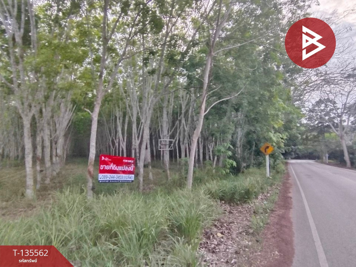 ขายที่ดินระยอง : ขายที่ดิน เนื้อที่ 5 ไร่ 29 ตร.วา แกลง ระยอง