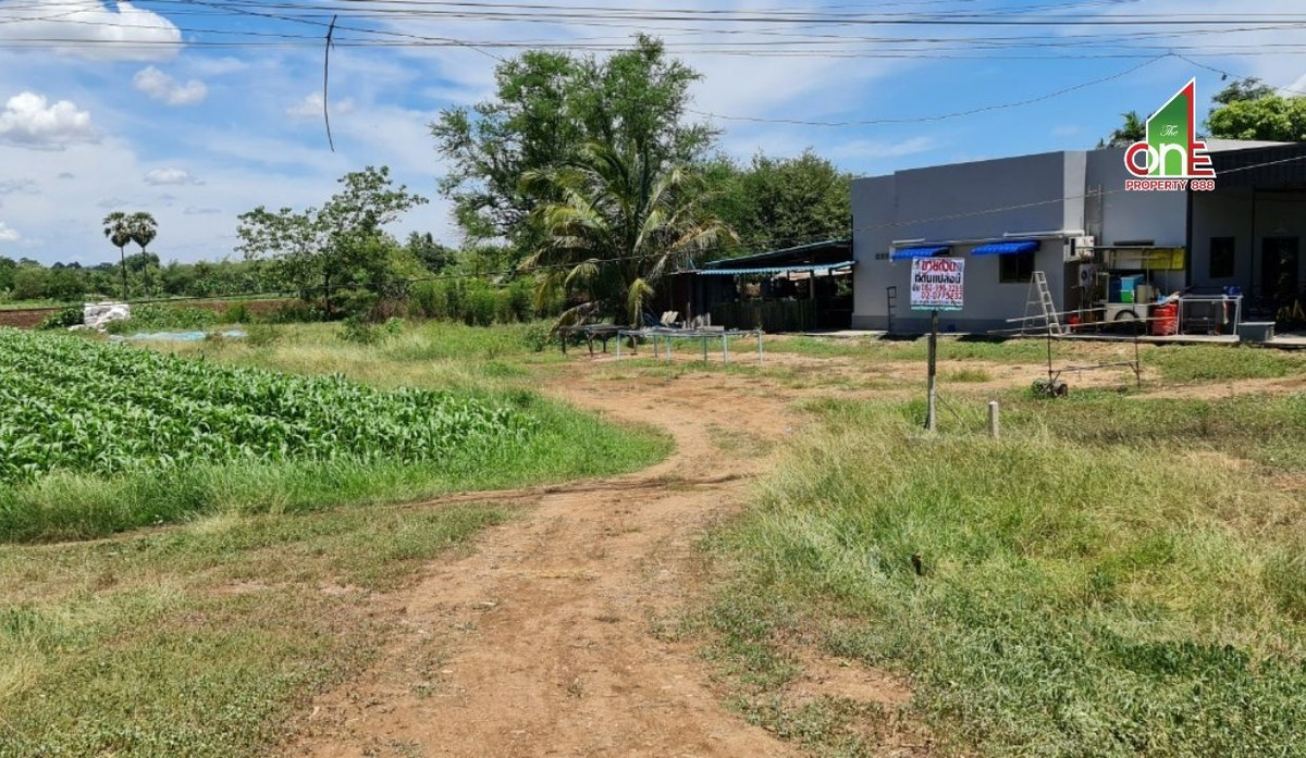 ขายที่ดินกาญจนบุรี : ที่ดิน ถนนทางหลวง 3228 บ้านเก่า – ลิ้นช้าง ตำบล หนองหญ้า อำเภอเมืองกาญจนบุรี