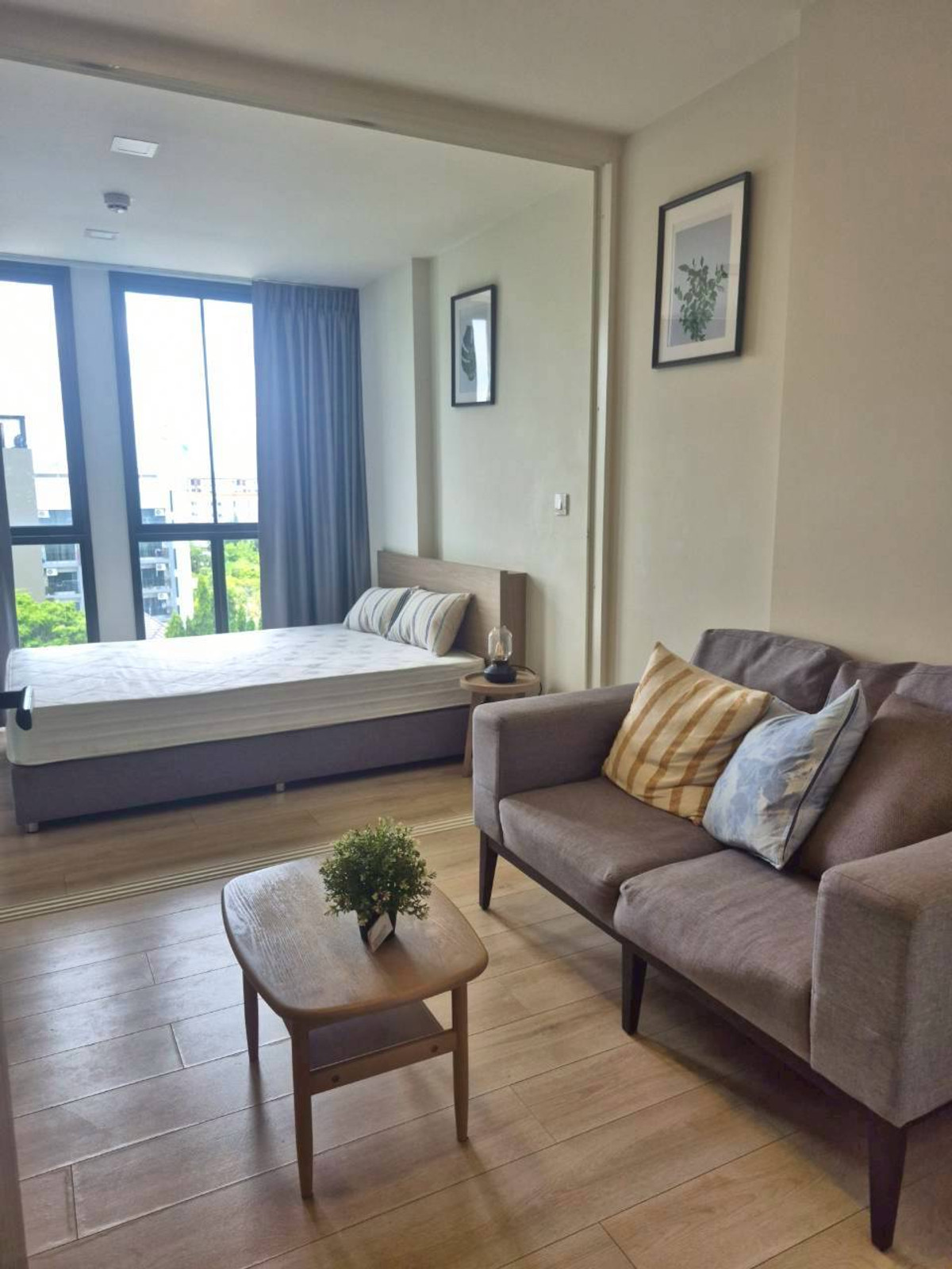 ให้เช่าคอนโดอ่อนนุช อุดมสุข : ให้เช่าคอนโด แชมเบอร์ส อ่อนนุช (บีทีเอสอ่อนนุช) (SA-01) 