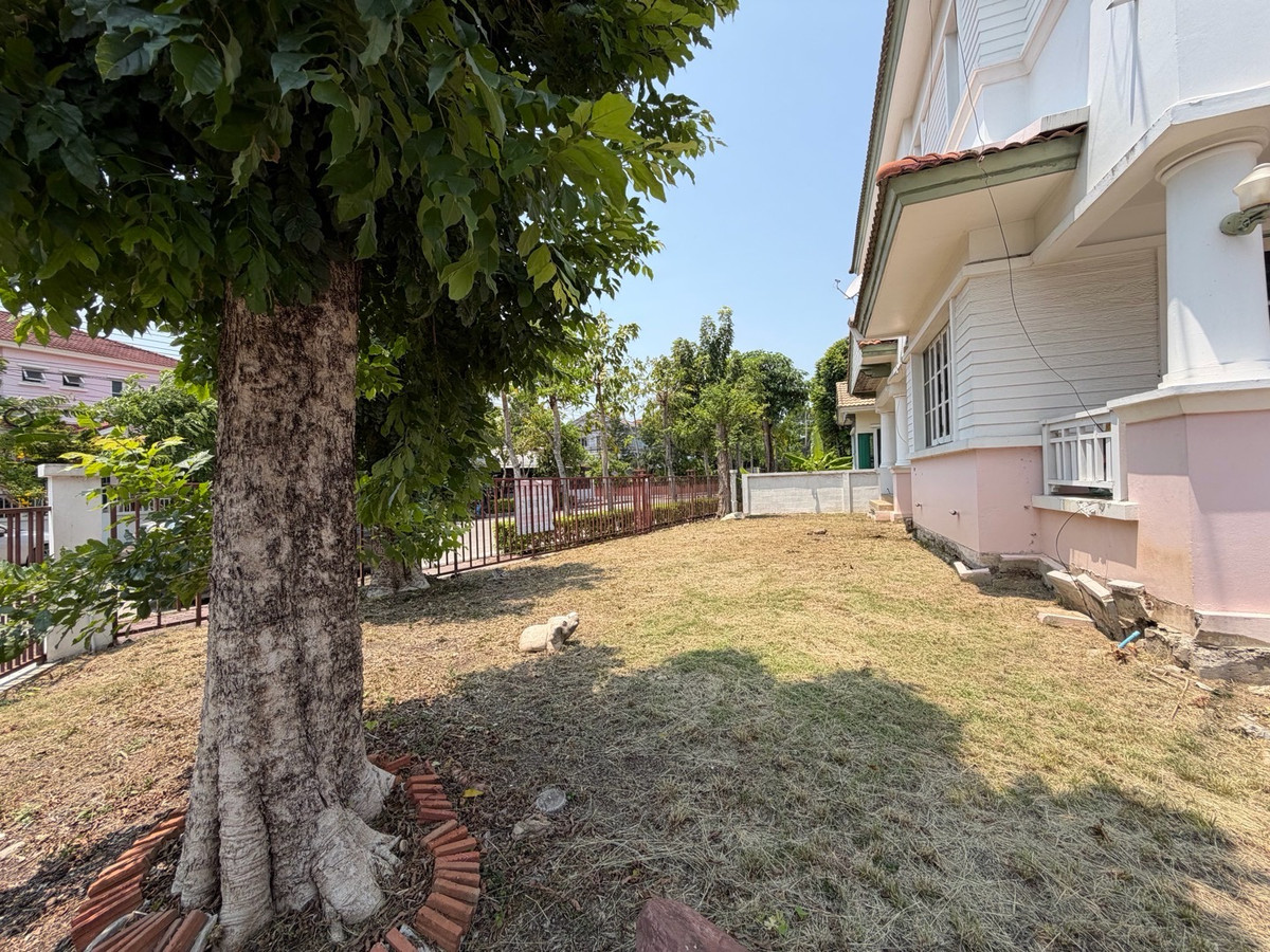 ขายบ้านสมุทรปราการ สำโรง : บ้านเดี่ยวหลังมุม 96 ตร.ว ชัยพฤกษ์ บางพลี
 3 ห้องนอน |  3 ห้องน้ำ |  2 ที่จอดรถ