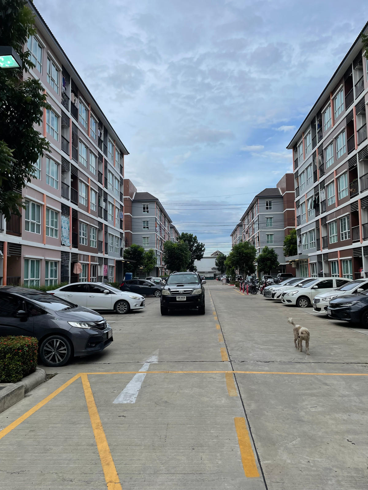 For SaleCondoSamut Prakan,Samrong : Condo Miami Bang Pu Building 29