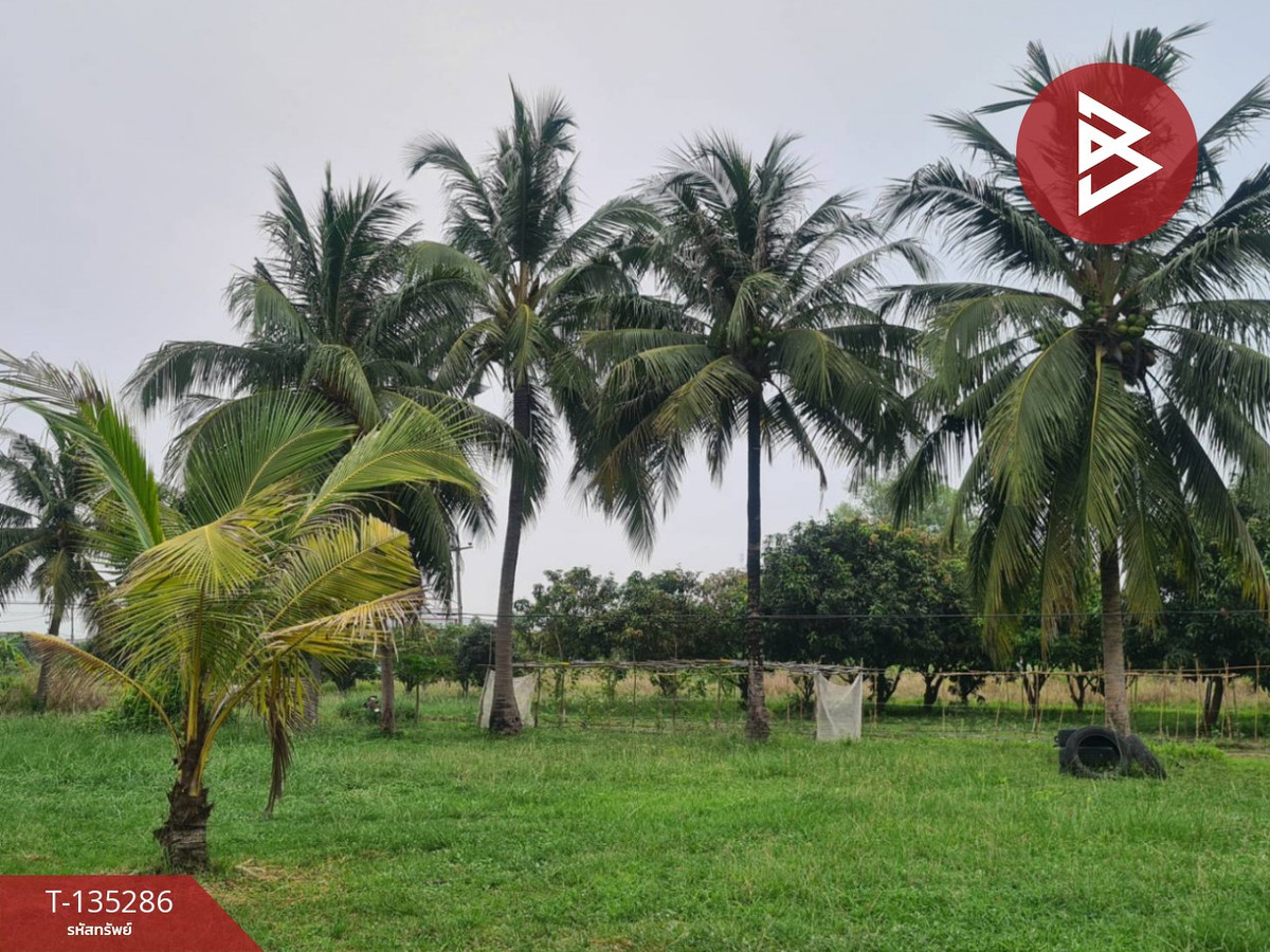 For SaleLandPattaya, Bangsaen, Chonburi : Land for sale with fruit orchard, area 3 rai 3 ngan 20 square wah, Phanat Nikhom, Chonburi.