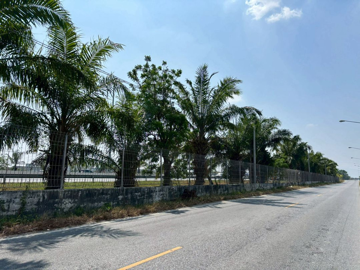 For SaleLandPattaya, Bangsaen, Chonburi : Industrial Land for Sale – Near Amata Nakorn Industrial Estate, Chonburi