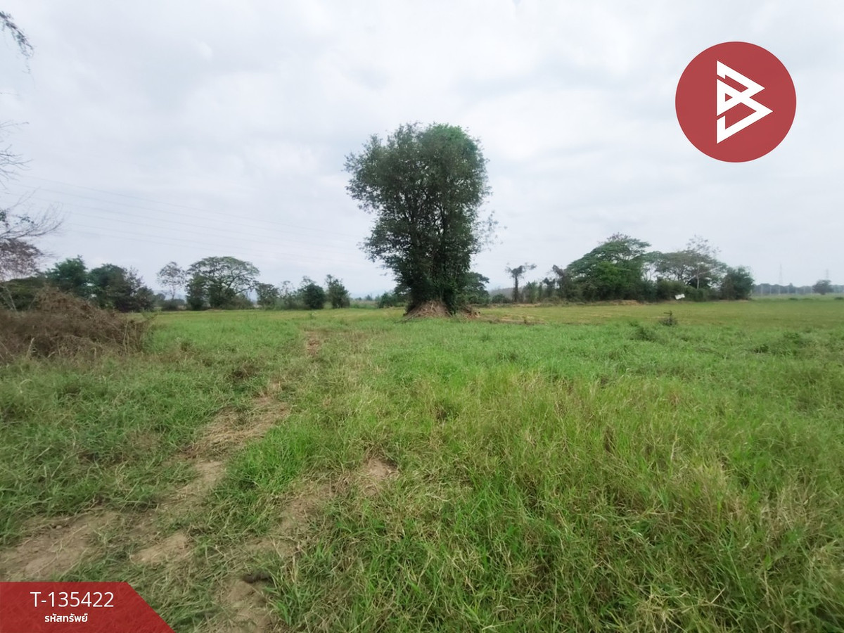 For SaleLandUttaradit : Rice land for sale, area 3 rai 1 ngan 75 square wah, Tha Sao, Uttaradit