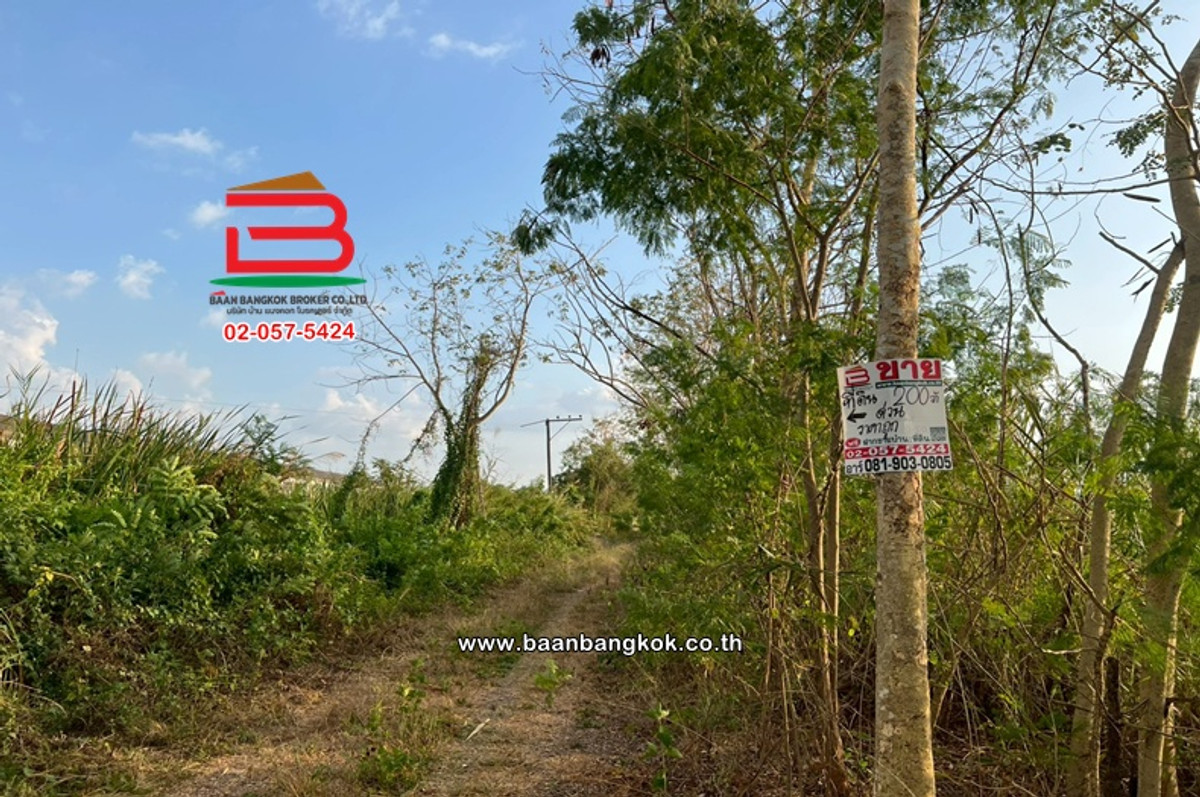 For SaleLandPathum Thani,Rangsit, Thammasat : Empty land, area 200 sq m, alley opposite Caltex gas station, Khlong 11, Rangsit-Nakhon Nayok Road. Bueng Nam Rak Subdistrict, Thanyaburi District, Pathum Thani