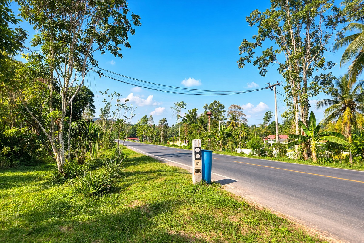 ขายที่ดินนครศรีธรรมราช : 🌴 ขายสวนปาล์ม ติดถนนดำ เอกสารสิทธิ “โฉนด” 🌴  ติดถนนดำ สาย ทุ่งใหญ่ – วัดขนาน