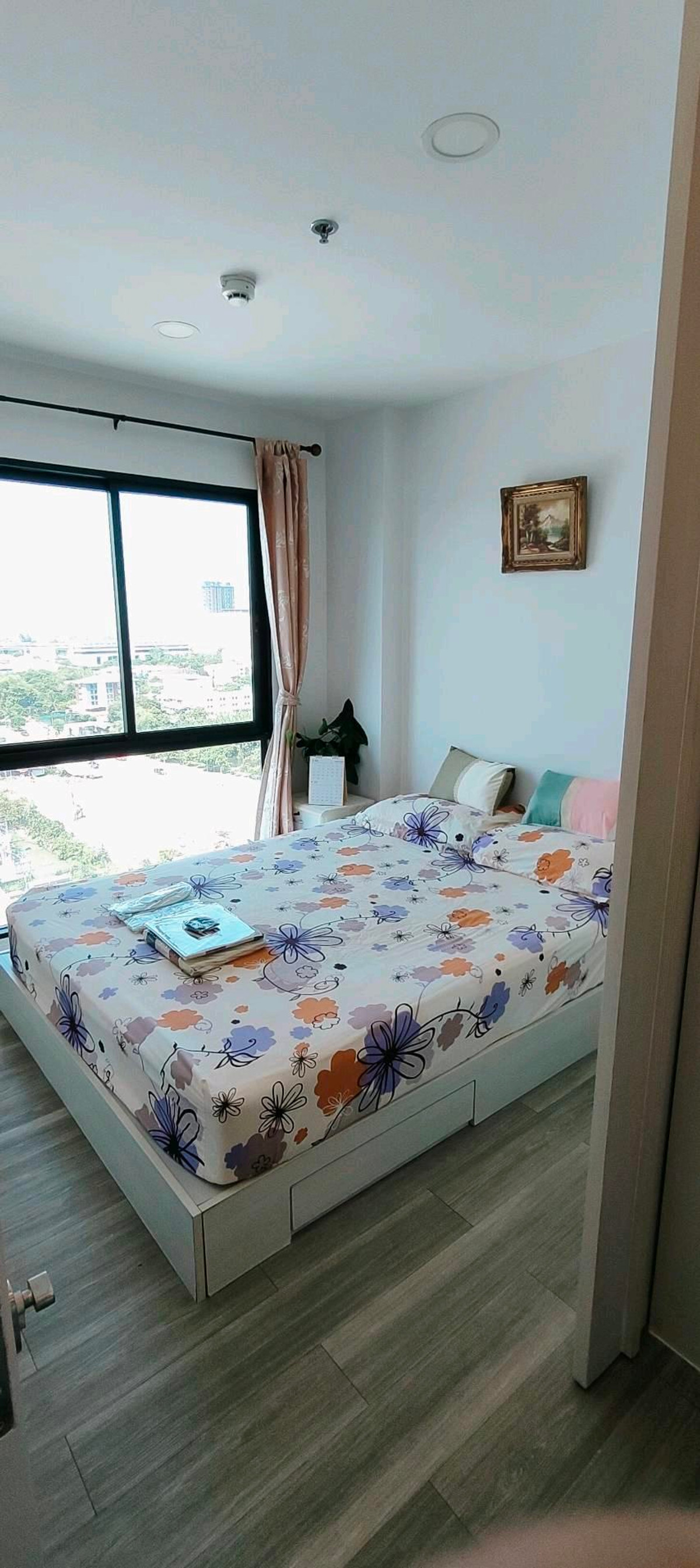 ให้เช่าคอนโดเกษตรศาสตร์ รัชโยธิน : ให้เช่า!!คอนโดเคนซิงตันเกษตร แคมปัส #มีเครื่องซักผ้า