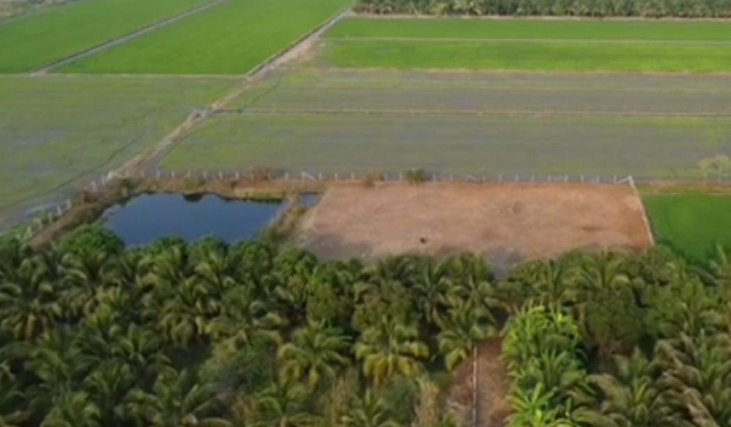 For SaleLandPhutthamonthon, Salaya : Land for sale in Nakhon Pathom, Bang Len, 2 rai 0 ngan 71.6 square wah, near Wat Bueng Latsawai School