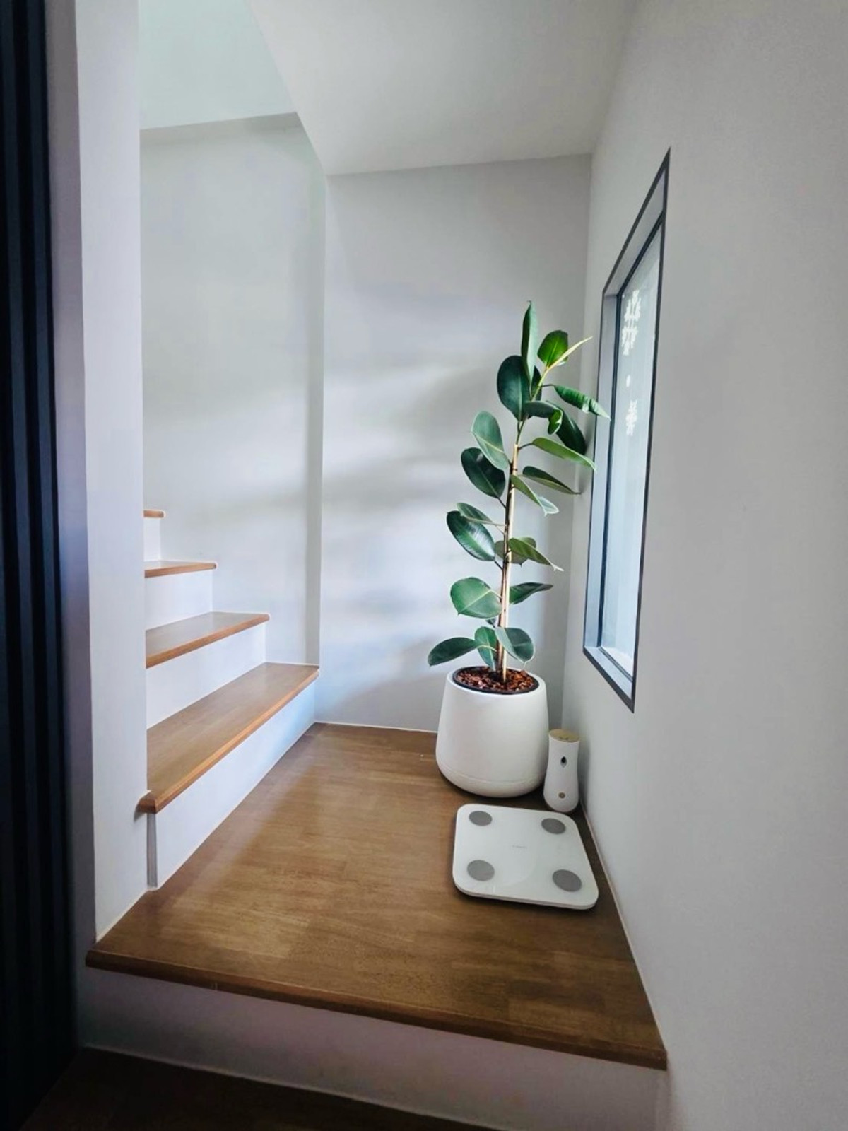 ทาวน์โฮมบางนา แบริ่ง ลาซาล : บ้านใหญ่หลังมุม 42วา.ติดเมกาบางนา พลีโน่ สุขุมวิท-บางนา2 ใกล้ทางด่วนวงแหวน สวยสุด