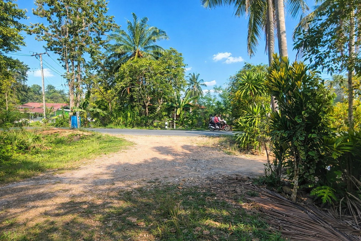 ขายที่ดินนครศรีธรรมราช : 🌴 ขายสวนปาล์ม ติดถนนดำ เอกสารสิทธิ “โฉนด” 🌴  ติดถนนดำ สาย ทุ่งใหญ่ – วัดขนาน