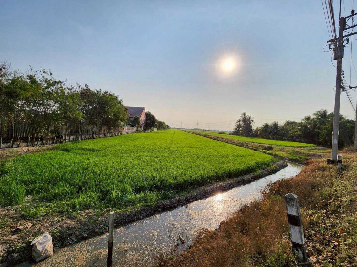 For SaleLandPathum Thani,Rangsit, Thammasat : Land for sale, Lat Lum Kaeo, Pathum Thani, 16-2-84 rai, near Lotus, Lat Lum Kaeo.