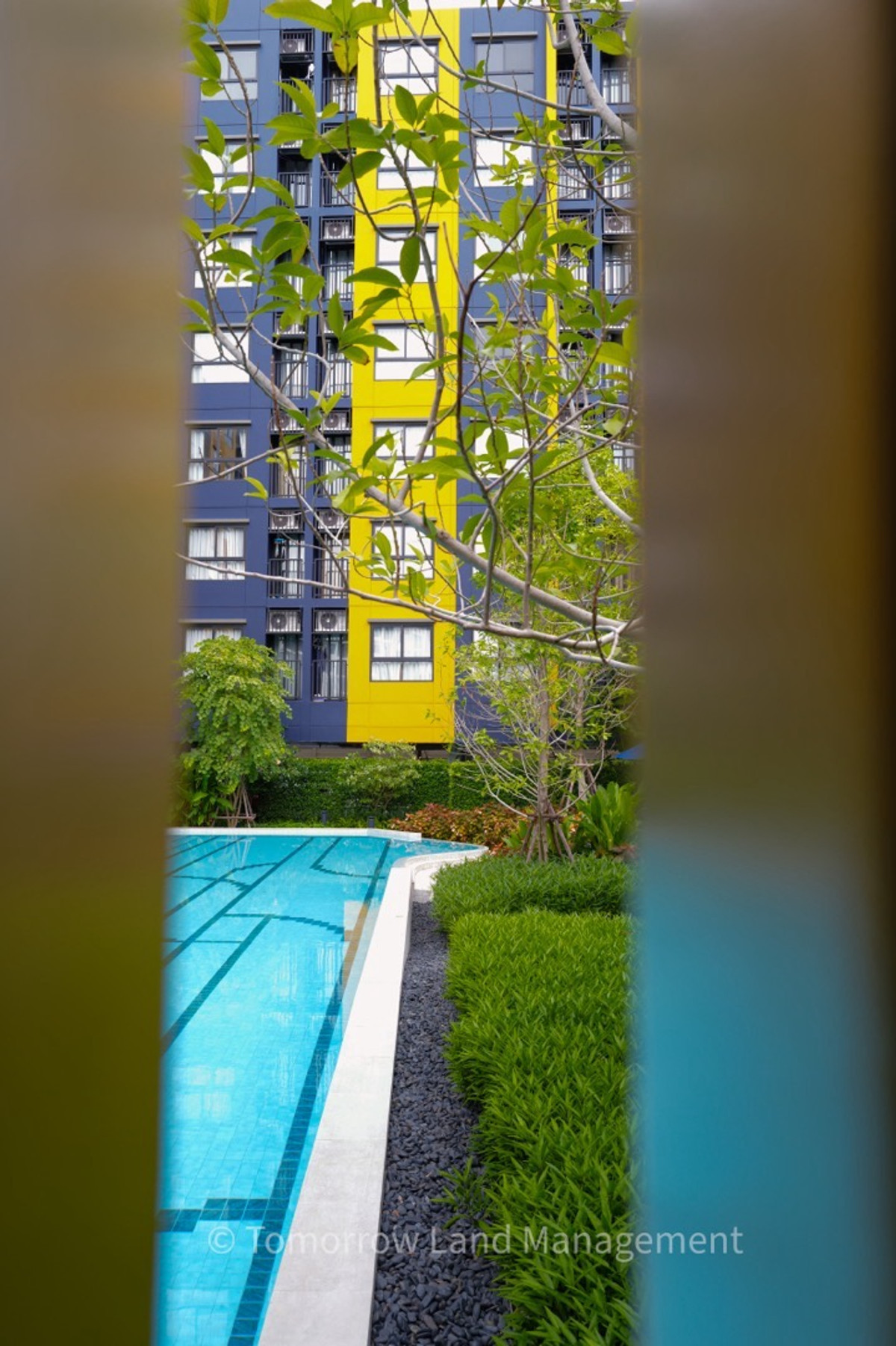 ให้เช่าคอนโดปทุมธานี รังสิต ธรรมศาสตร์ : ให้เช่า ดีคอนโด ชายน์ 26.50 ตารางเมตร 1 Bed ห้องใหม่ยังไม่เคยเข้าอยู่