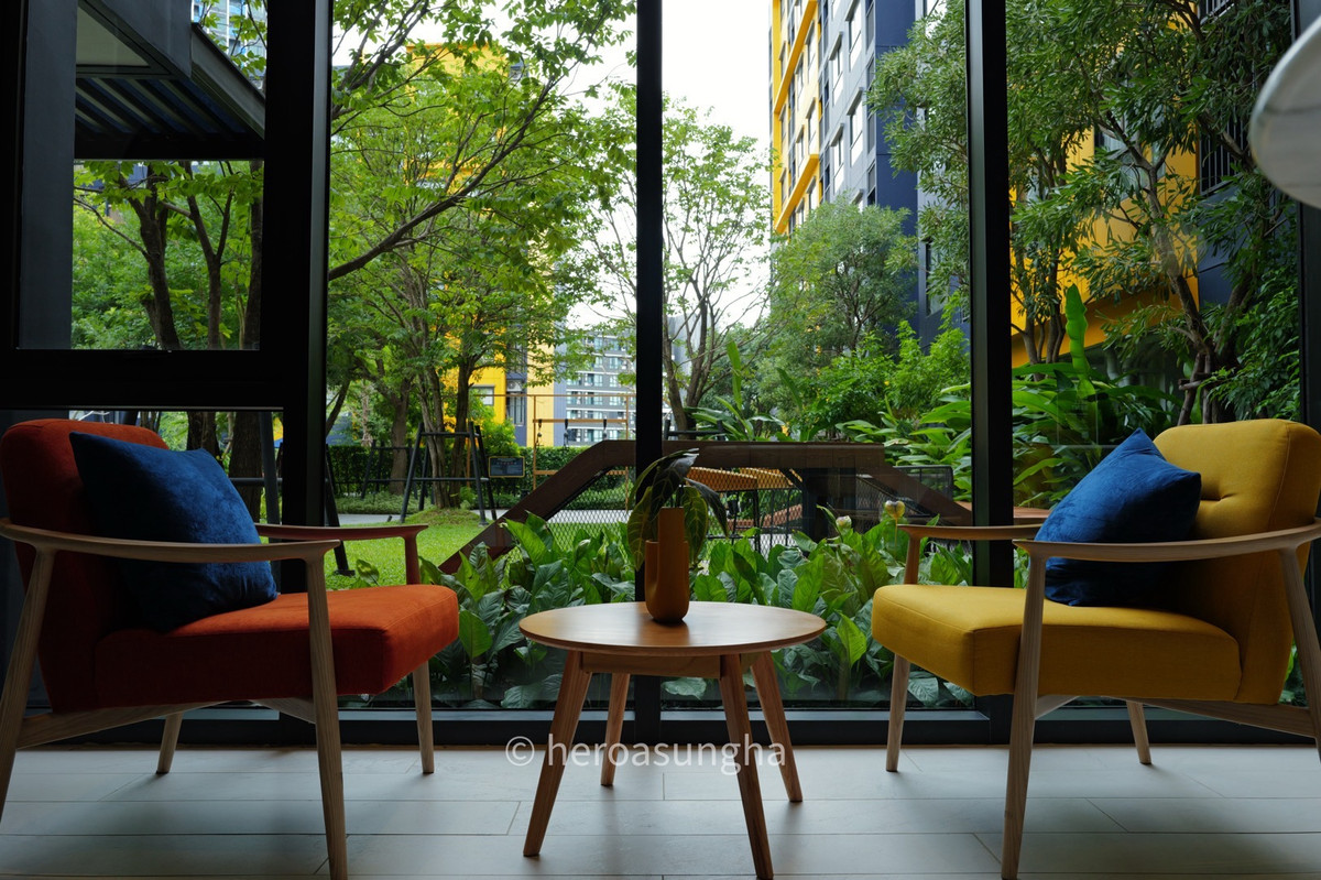 ให้เช่าคอนโดปทุมธานี รังสิต ธรรมศาสตร์ : ให้เช่า ดีคอนโด ชายน์ 26.50 ตารางเมตร 1 Bed ห้องใหม่ยังไม่เคยเข้าอยู่