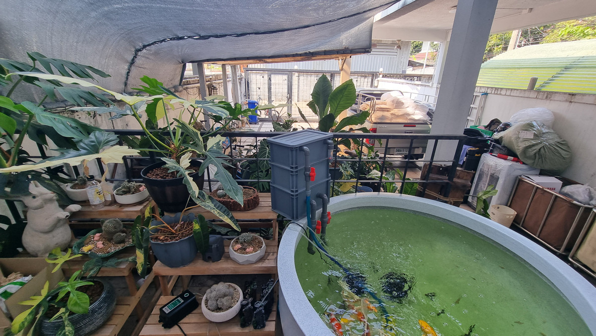 For RentTownhomeSukhumvit, Asoke, Thonglor : Townhouse for rent in Phrom Phong, suitable for living. Or make a home office of 500 sq m.