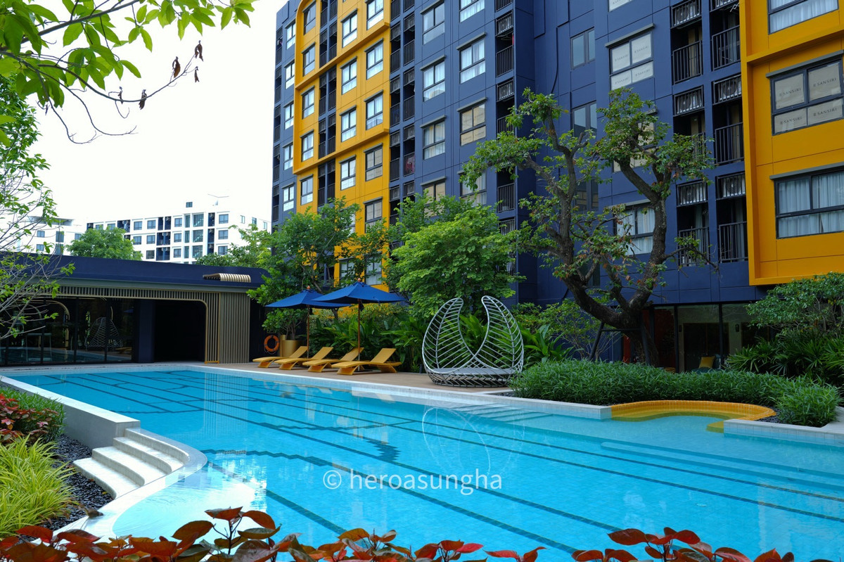 ให้เช่าคอนโดปทุมธานี รังสิต ธรรมศาสตร์ : ให้เช่า ดีคอนโด ชายน์ 26.50 ตารางเมตร 1 Bed ห้องใหม่ยังไม่เคยเข้าอยู่