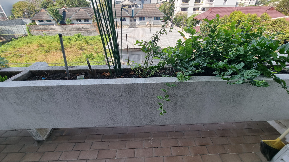 For RentTownhomeSukhumvit, Asoke, Thonglor : Townhouse for rent in Phrom Phong, suitable for living. Or make a home office of 500 sq m.