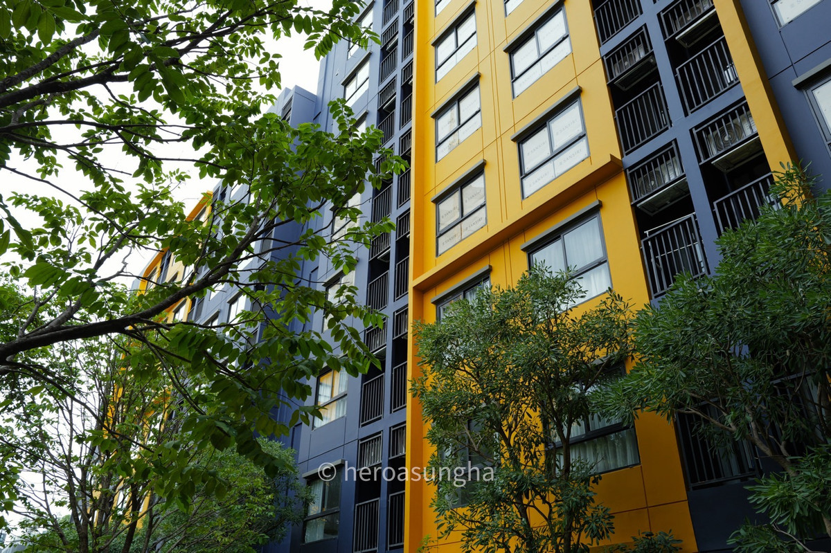 ให้เช่าคอนโดปทุมธานี รังสิต ธรรมศาสตร์ : ให้เช่า ดีคอนโด ชายน์ 26.50 ตารางเมตร 1 Bed ห้องใหม่ยังไม่เคยเข้าอยู่