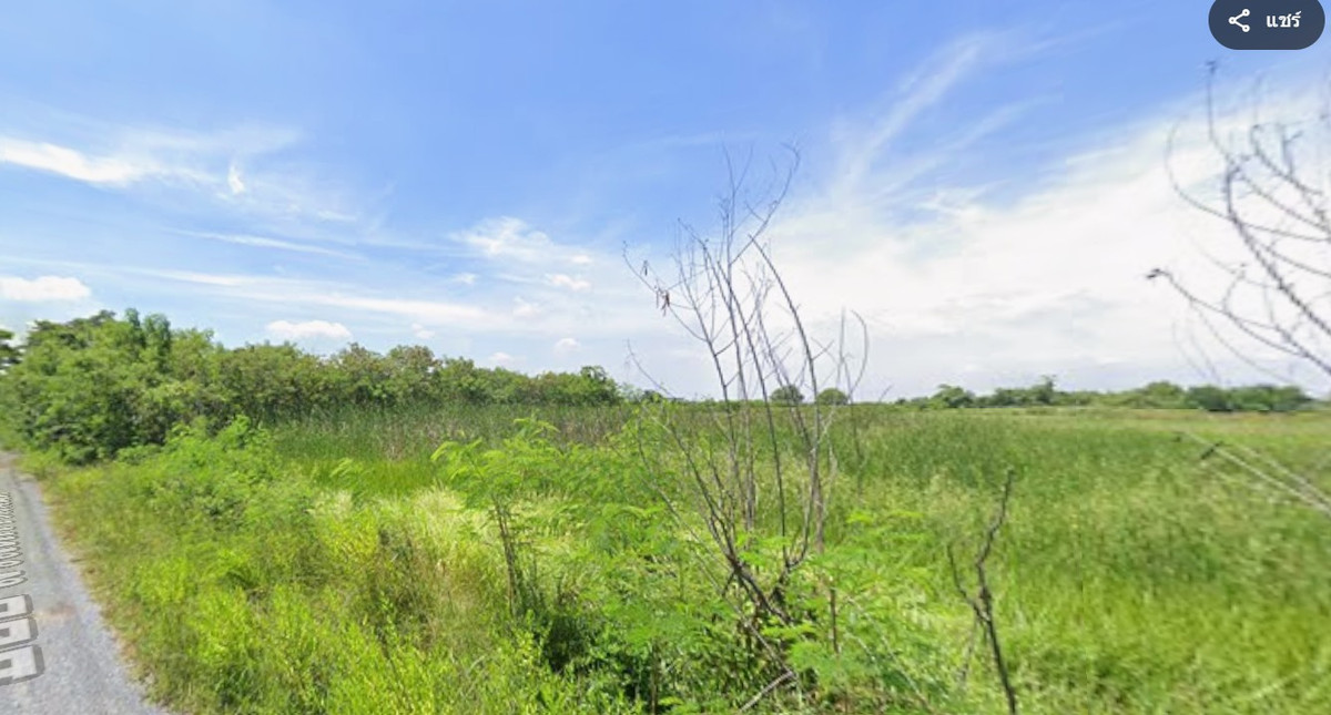 ขายที่ดินมีนบุรี-ร่มเกล้า : ขายที่ดิน ซอยสวัสดิการแลนด์ ขนาด 305 ตร.ว. คลองสิบ หนองจอก ทำเลเงียบสงบ บรรยากาศดี
