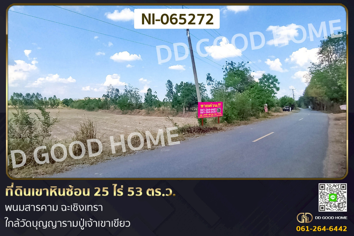 ขายที่ดินฉะเชิงเทรา : NI-065272 ที่ดินเขาหินซ้อน 25 ไร่ 53 ตร.ว. พนมสารคาม ฉะเชิงเทรา ใกล้วัดบุญญารามปู่เจ้าเขาเขียว