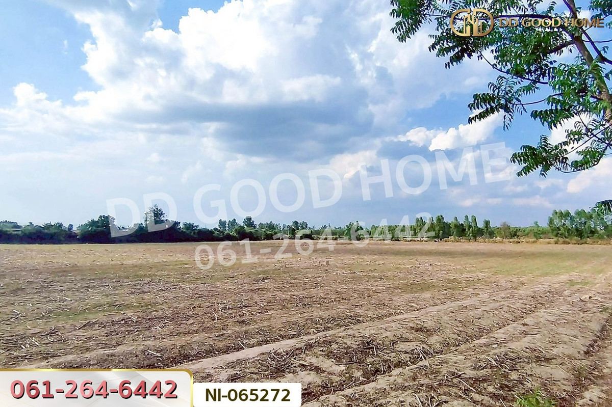 ขายที่ดินฉะเชิงเทรา : NI-065272 ที่ดินเขาหินซ้อน 25 ไร่ 53 ตร.ว. พนมสารคาม ฉะเชิงเทรา ใกล้วัดบุญญารามปู่เจ้าเขาเขียว