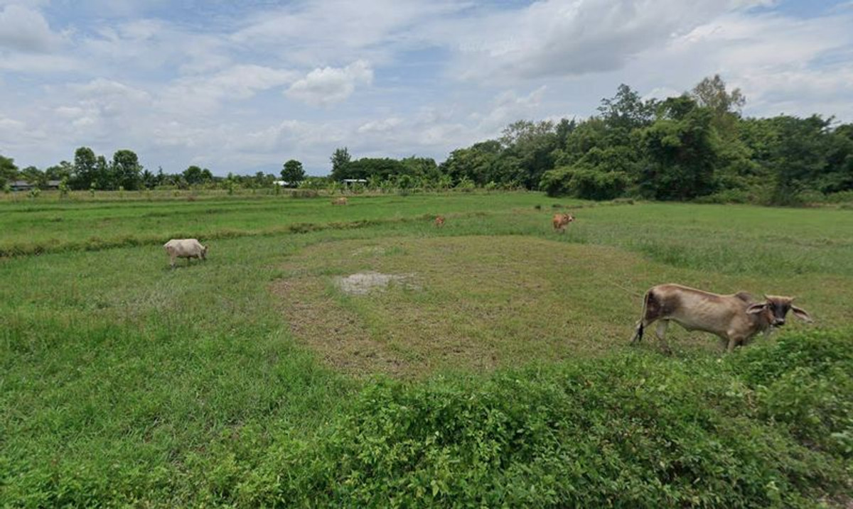 For SaleLandLamphun : Empty land for sale, 5 rai 1 ngan 22.5 square wah, Ban Thi Subdistrict, Ban Thi District, Lamphun Province.