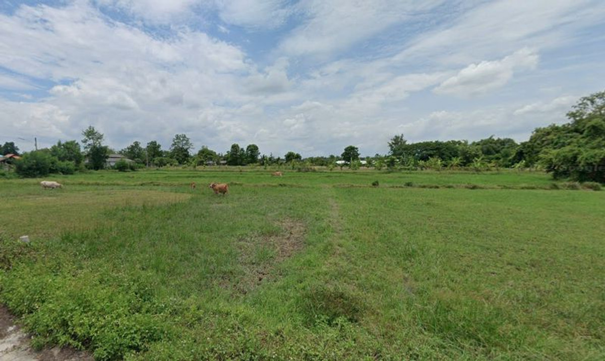 For SaleLandLamphun : Empty land for sale, 5 rai 1 ngan 22.5 square wah, Ban Thi Subdistrict, Ban Thi District, Lamphun Province.