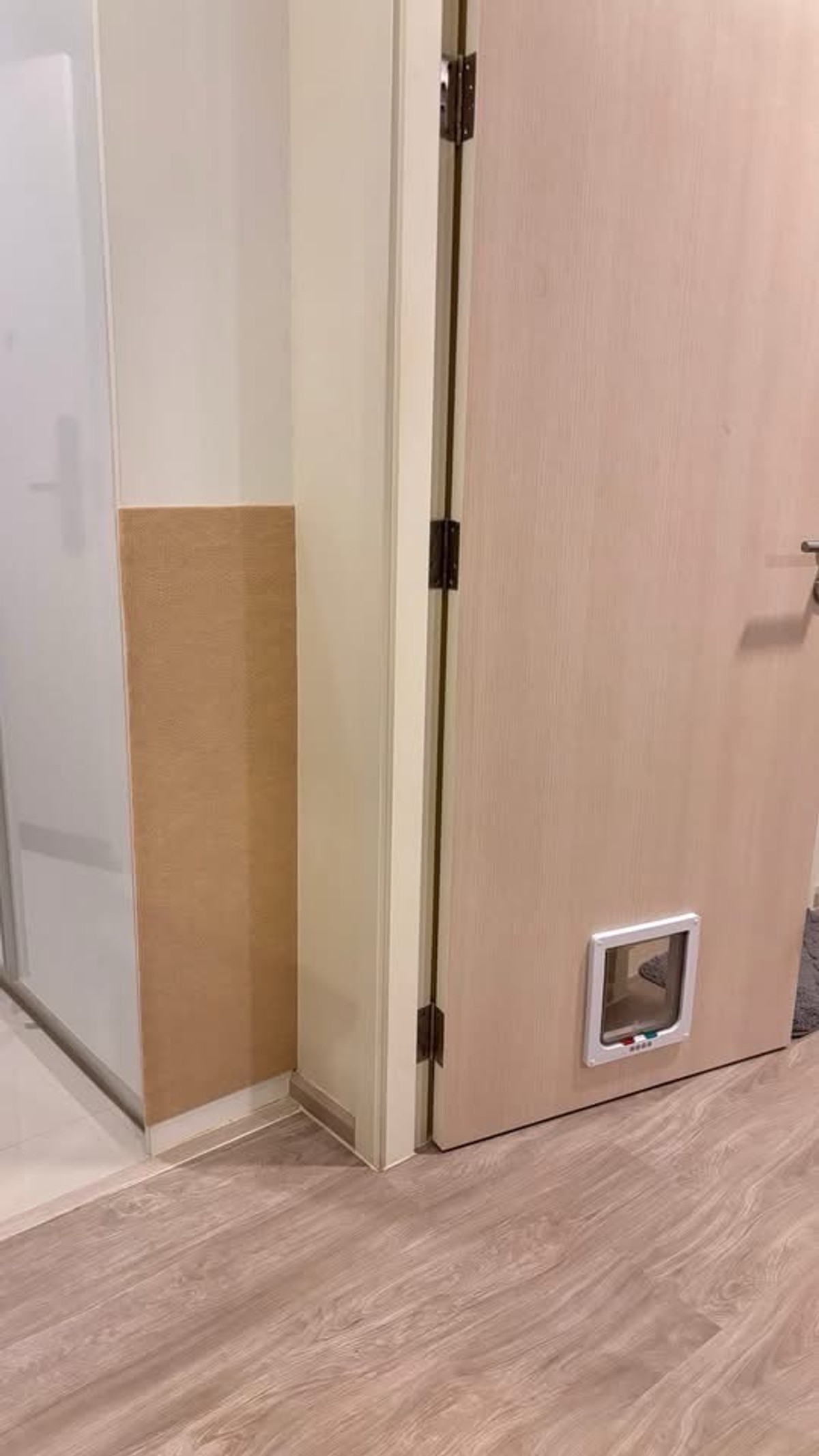 For RentCondoRama9, Petchburi, RCA : 🏢🐶🐱 For rent Maestro 03 Ratchada – Rama 9 
Pet-friendly condo in the heart of Ratchada, quiet atmosphere. Highly private

💰 ราคาเช่า 17,000 บาท / เดือน (สัญญา 2 ปี)