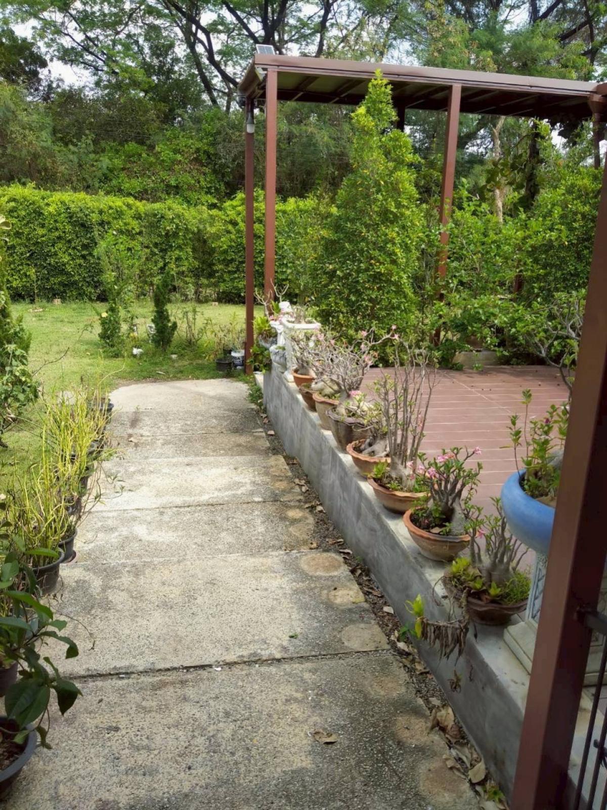 ขายบ้านสระบุรี : ขายบ้านเดี่ยวชั้นเดียวพร้อมพื้นที่สวนขนาดใหญ่ วิวสวย หน้ากว้าง รีโนเวทใหม่ มวกเหล็ก มวกเหล็ก สระบุรี CX-148720